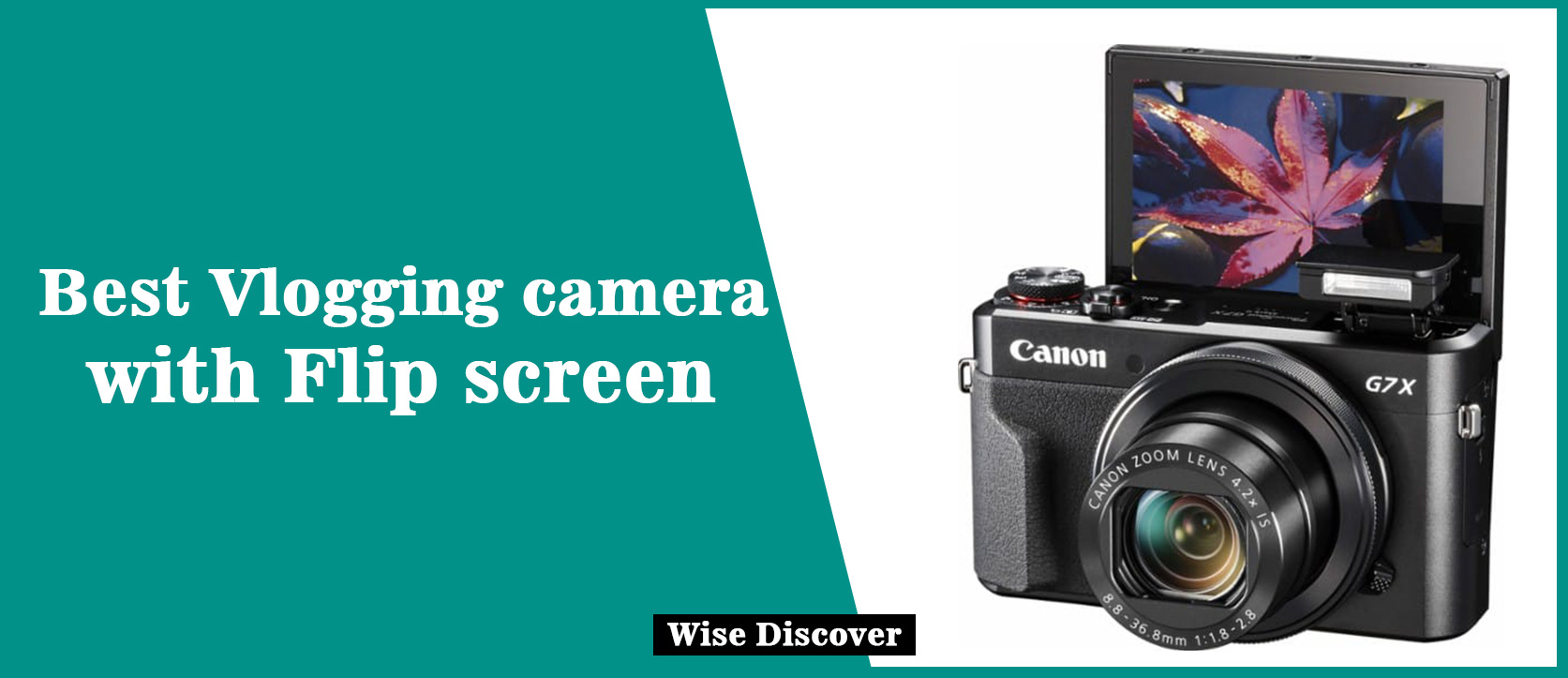 Vlogging camera with Flip screen